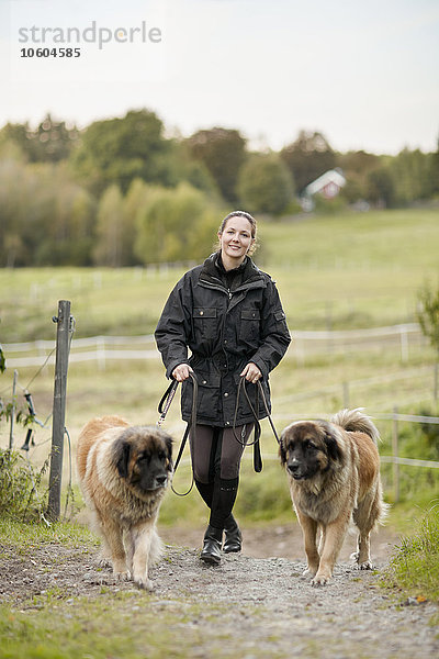 Junge Frau geht mit Hunden spazieren