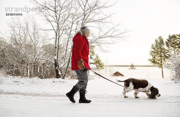 Ältere Frau geht mit Hund spazieren
