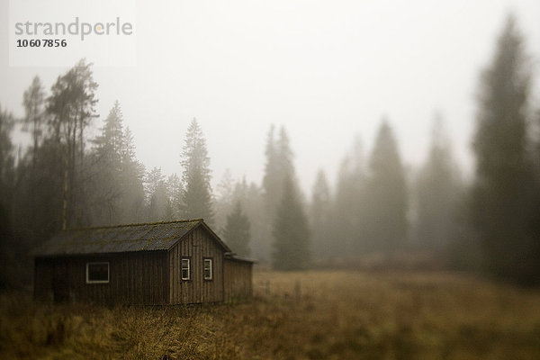 Hütte in der Nähe eines Waldes