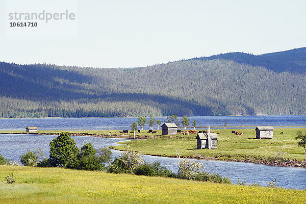 Häuser am See