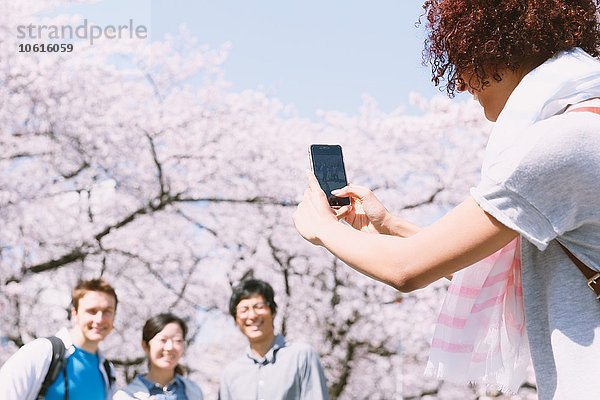 Eine multiethnische Gruppe von Freunden genießt die Kirschblüte in Tokio