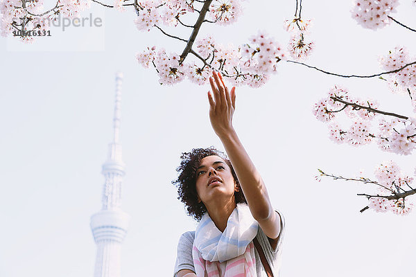 Junge Frau erfreut sich an blühenden Kirschblüten in Tokio