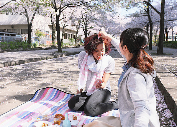 Junger multiethnischer Freund genießt die Kirschblüte in Tokio