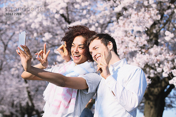 Ein multiethnisches Touristenpaar genießt die Kirschblüte in Japan