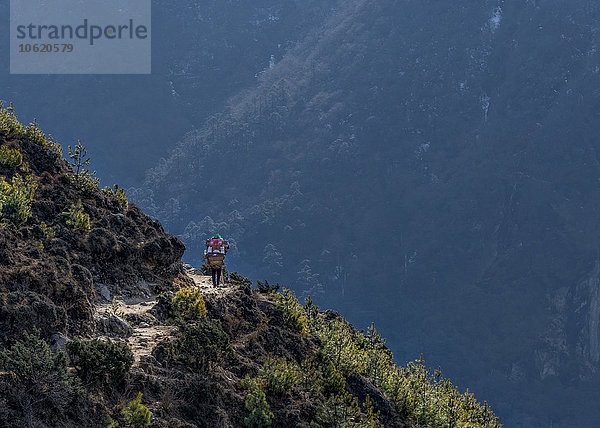 Nepal  Himalaya  Khumbu  Trekker auf dem Wanderweg