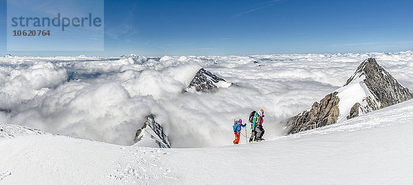 Schweiz  Westberner Alpen  Bergsteiger in der Region Balmhorn