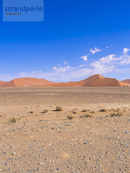 Afrika  Namibia  Hardap  Sossusvlei  Namibwüste  Namib-Naukluft Nationalpark  Sanddünen