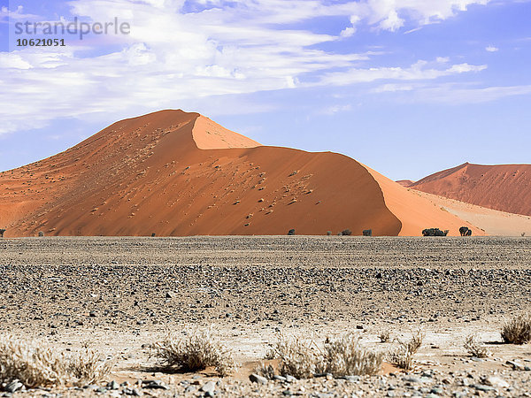 Afrika  Namibia  Hardap  Sossusvlei  Namibwüste  Namib-Naukluft Nationalpark  Sanddünen