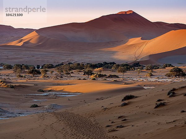 Namibia  Naukluft Nationalpark  Namib Wüste  Sossusvlei  Dead Vlei  Sanddünen am Abend