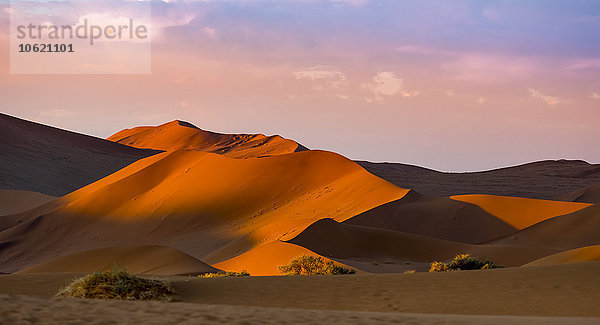 Namibia  Naukluft Nationalpark  Namib Wüste  Sossusvlei  Sanddünen bei Dead Vlei am Abend