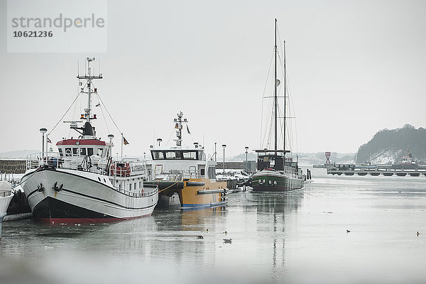 Deutschland  Sassnitz  Fischerboote im Hafen im Winter