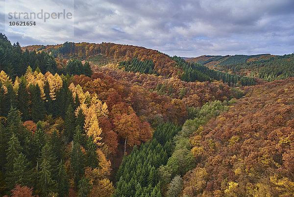 Deutschland  Rheinland-Pfalz  Hunsrück  Saar-Hunsrück-Steig  Geierlay