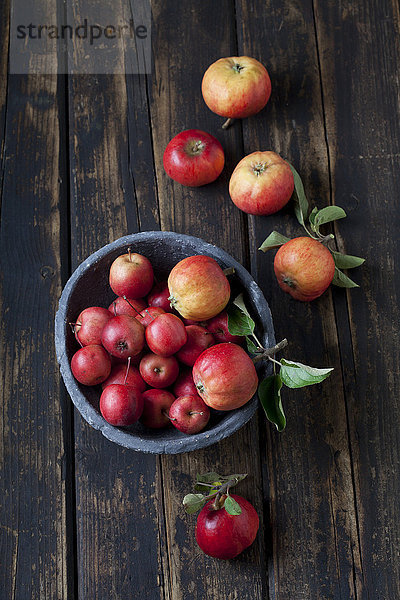 Schale mit verschiedenen roten Äpfeln auf dunklem Holz