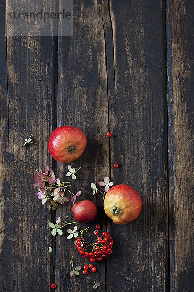 Blüten von Hortensien  Feuerdorn und roten Äpfeln auf dunklem Holz