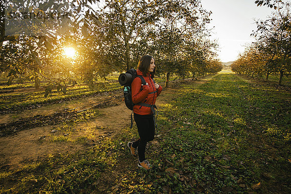 Spanien  Katalonien  Girona  Frau beim Wandern auf dem Feld bei Sonnenaufgang
