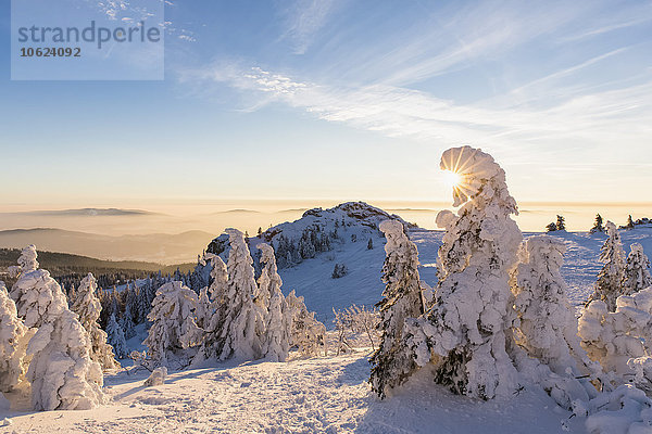 Deutschland  Bayern  Böhmerwald im Winter  Richard-Wagner-Kopf und Großer Arber bei Sonnenuntergang