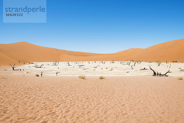 Namibia  Namib Wüste  tote Bäume in Deadvlei
