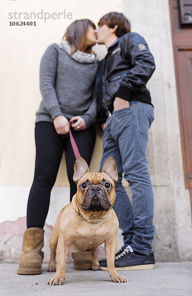 Porträt der französischen Bulldogge mit küssenden Besitzern im Hintergrund
