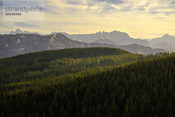 Deutschland  Bayern  Berchtesgadener Land  Blick auf das Leoganggebirge