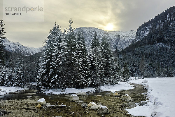 Österreich  Salzburger Land  Kleinarl  Liebeseck  Marbach  Bach