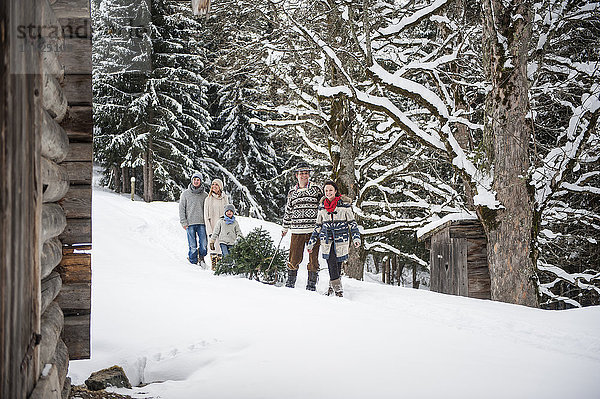 Österreich  Altenmarkt-Zauchensee  zwei Paare und zwei Kinder beim Transport des Weihnachtsbaums durch den Winterwald