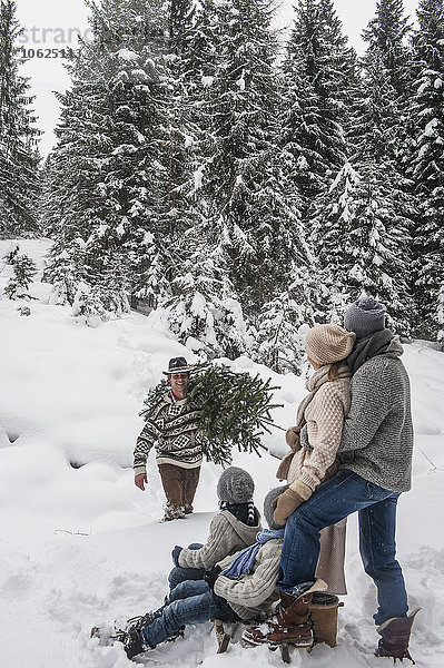 Österreich  Altenmarkt-Zauchensee  Mann mit Weihnachtsbaum und Familie zusammen im Winterwald