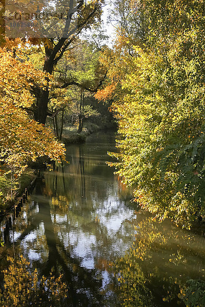 Deutschland  Brandenburg  Spreewald im Herbst