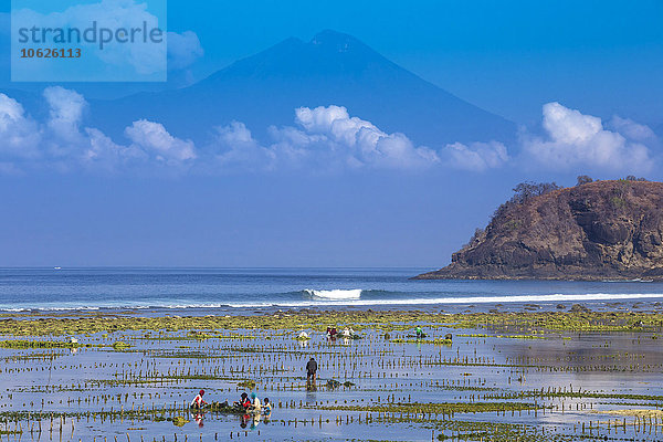 Indonesien  Insel Sumbawa  Vulkan Rinjani im Hintergrund