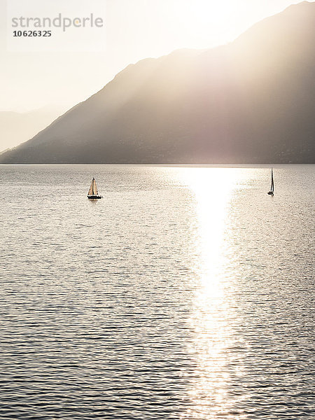 Schweiz  Tessin  Lago Maggiore