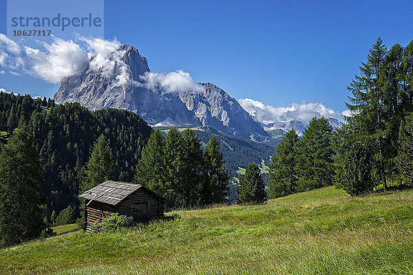 Italien  Dolomiten  Gröden  Dolomiten  Blick auf Langkofel und Plattkofel
