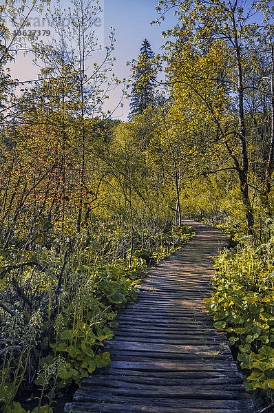 Kroatien  Nationalpark Plitvice  Fußgängerbrücke im Wald