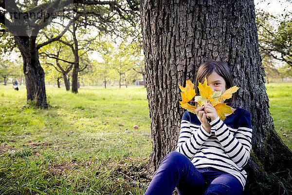 Mädchen mit Herbstblättern auf einer Wiese am Baumstamm sitzend