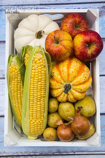 Verschiedene Bio-Gemüse und Äpfel in Box  herbstlich
