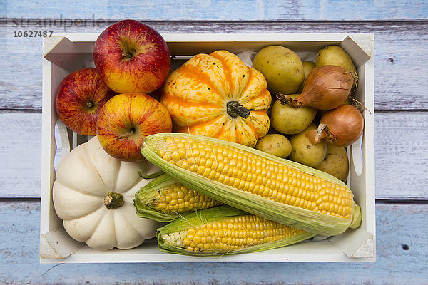 Verschiedene Bio-Gemüse und Äpfel in Box  herbstlich