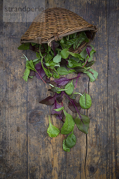 Wickerbasket und verschiedene Bio-Salatblätter auf dunklem Holz