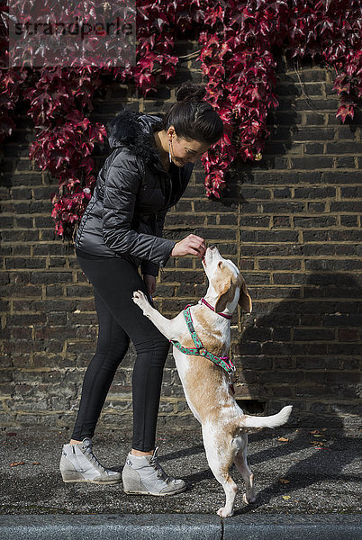 UK  London  Frau belohnt ihren Hund