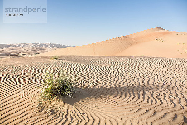 Vereinigte Arabische Emirate  Wüste