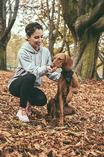 Frau  die ihrem Vizsla-Hund im Herbst einen Leckerbissen im Park schenkt.