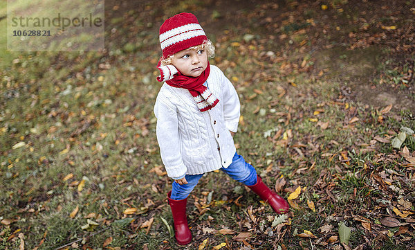 Porträt des blonden kleinen Jungen modische Strickwaren im Herbst