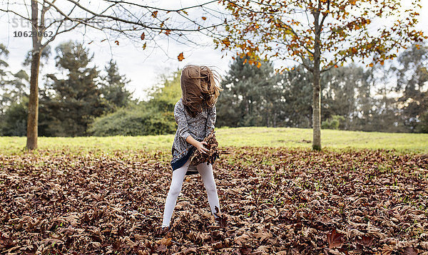 Kleines Mädchen spielt mit Herbstblättern auf einer Wiese