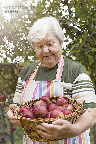 Porträt der Seniorin mit Apfelkorb