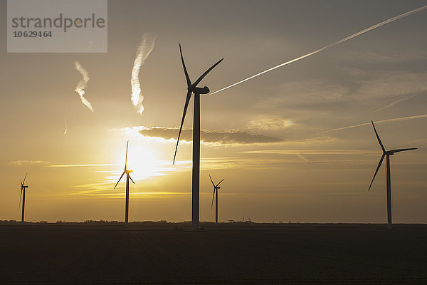 Niederlande  Zeeland  Windkraftanlagen bei Sonnenuntergang