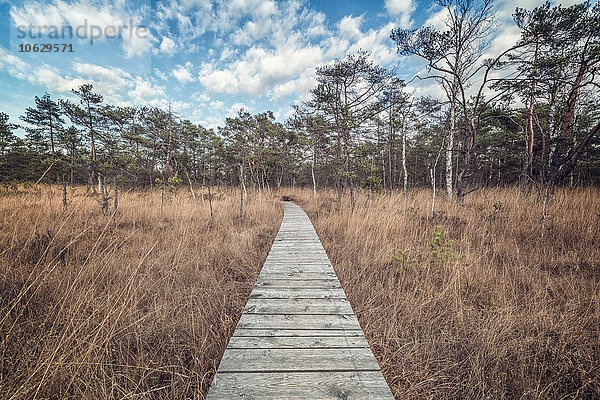 Österreich  Ibmer Moorweg im Herbst  Strandpromenade