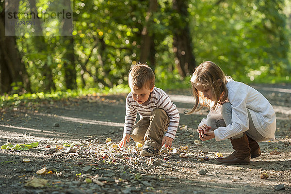 Kinder beim Kastaniensammeln auf dem Waldweg