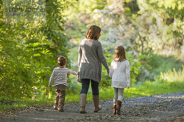 Rückansicht der Mutter  die mit ihren Kindern auf einem Waldweg spazieren geht.