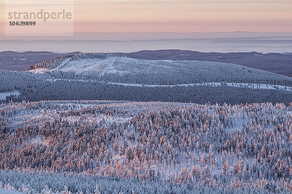 Deutschland  Sachsen-Anhalt  Sonnenaufgang im Nationalpark Harz im Winter