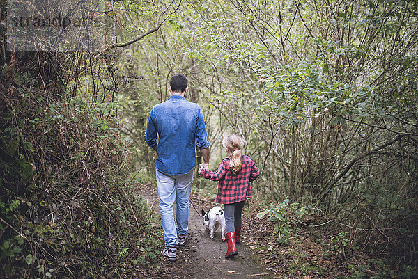 Rückansicht des Vaters und der kleinen Tochter  die mit ihrer französischen Bulldogge im Wald spazieren gehen.