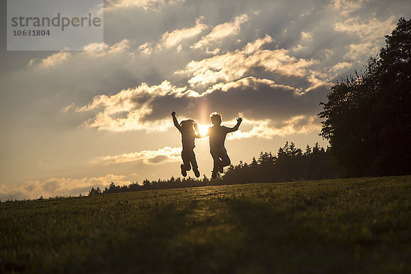 Silhouetten von zwei Kindern  die nebeneinander auf einer Wiese im Gegenlicht springen.