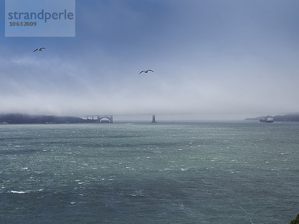 USA  San Francisco  Blick auf die Golden Gate Bridge im Nebel von Alcatraz Insel