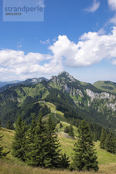 Deutschland  Bayern  Chiemgauer Alpen  Blick von der Hochplatte über Piesenhausen Hochalm auf Kampenwand und Scheibenwand
